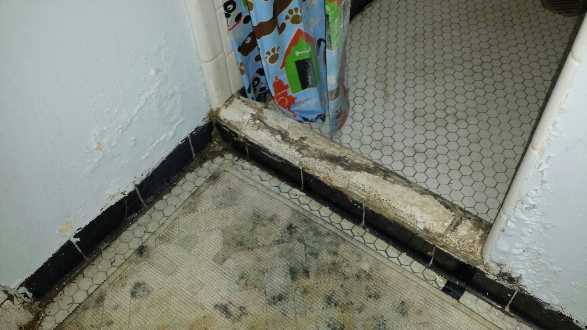 MACC bathroom before