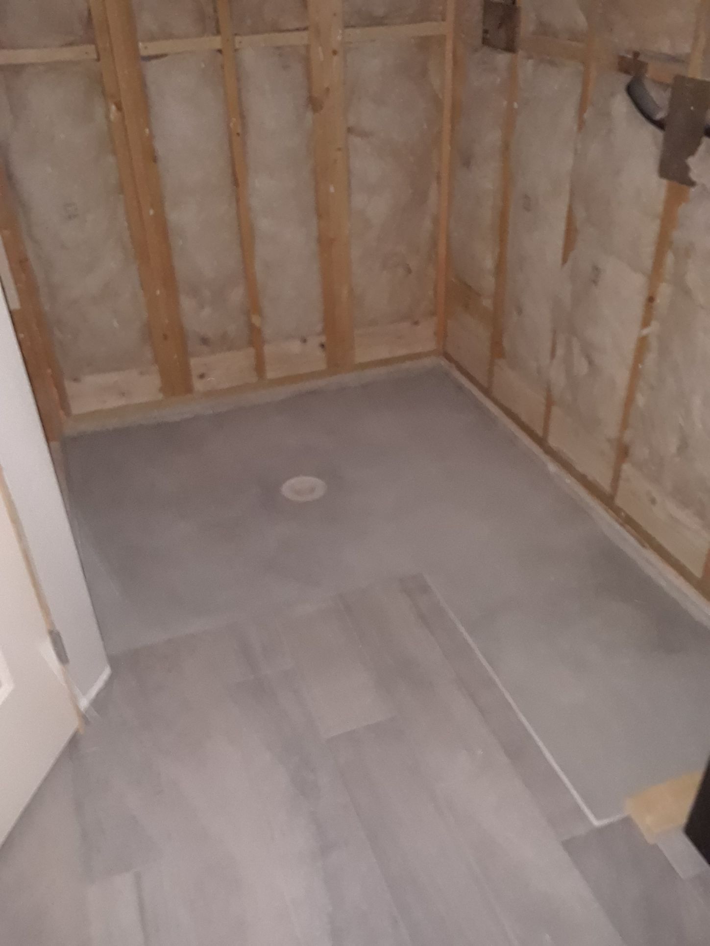 Walk-in shower before
